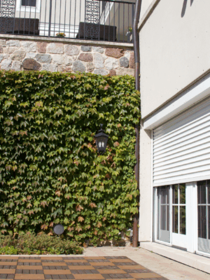 Security shutter style roll-up door installed over exterior doors