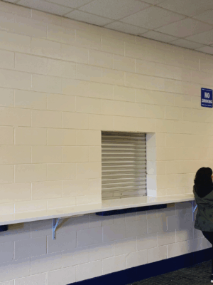 Small Security shutter style roll-up doors
